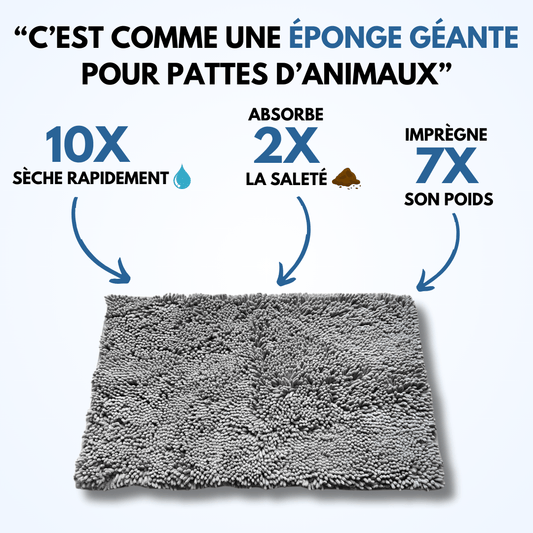 Tapis Clean Pattoune